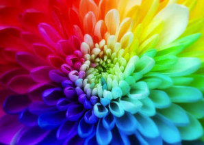 Colors
